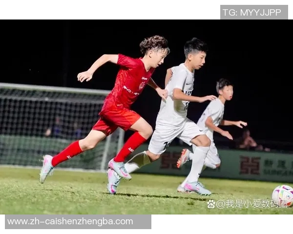 江苏足球崛起之路：从青训到职业联赛的全景探索与未来展望